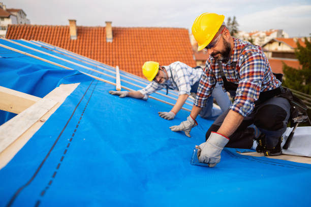 Best Roof Ventilation Installation  in Fremont, MI